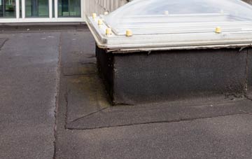 disadvantages of Bagby flat roofs